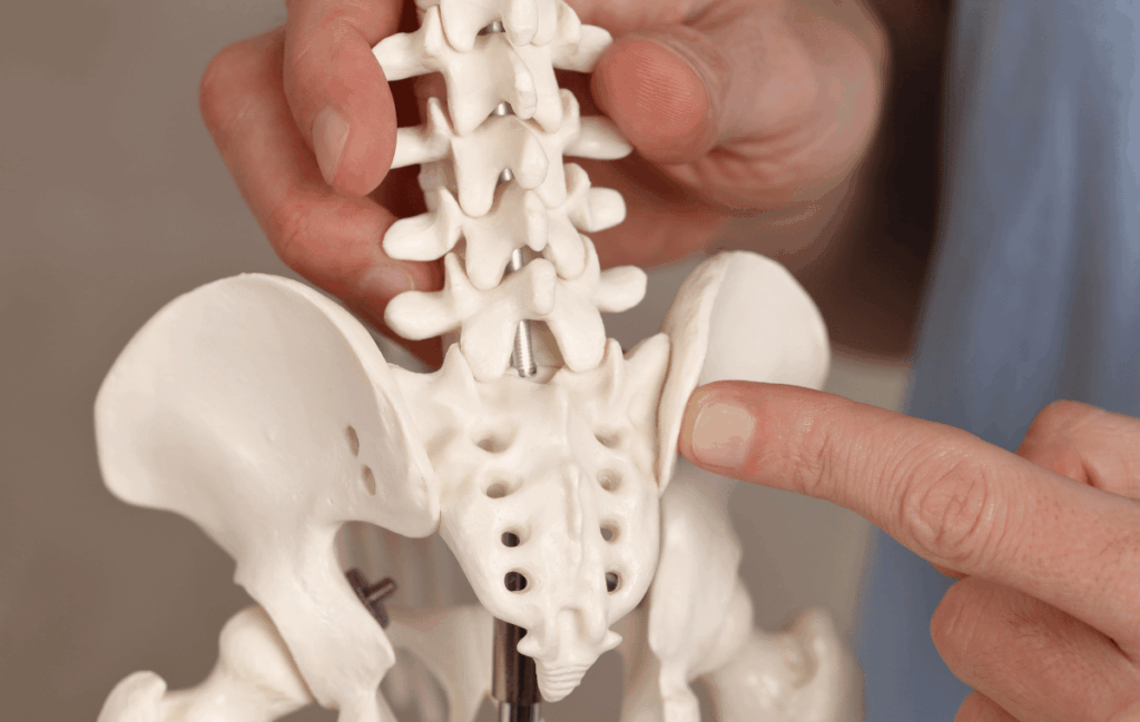 腰痛の主な原因を説明している施術者と骨模型
